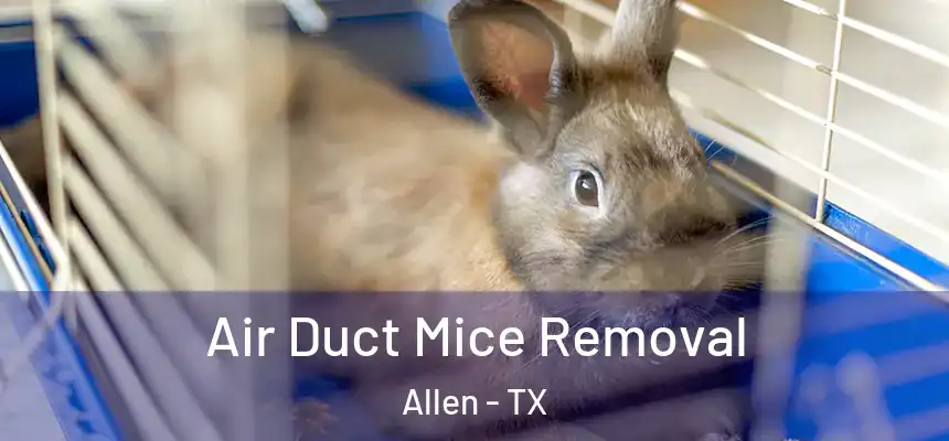 Air Duct Mice Removal Allen - TX