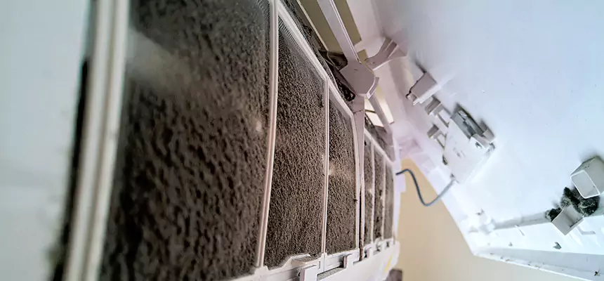 Preventive Air Duct Bacteria Removal in Allen