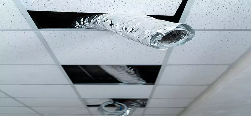 Affordable HVAC Sanitizing After Pest Removal in Allen