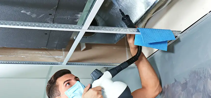 Our Air Duct Rodent Removal Services in Allen, TX
