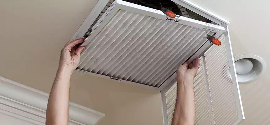 Our Insect Removal from Air Ducts Services in Allen, TX