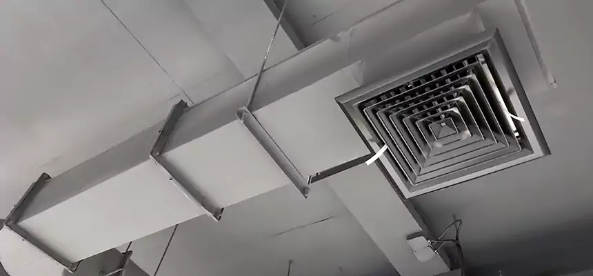 Our Pest Removal From Ducts Services in Allen, TX