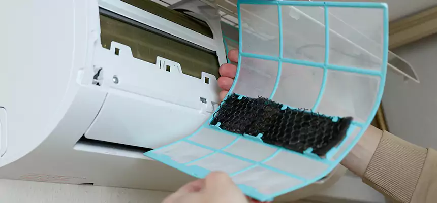 Gentle Ductwork Odor-Control Pet Dander Duct Cleaning in Allen, TX