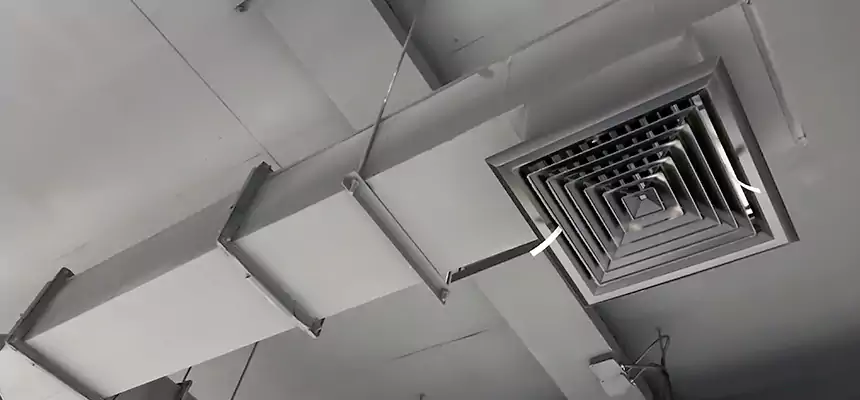 Our Rodent Droppings In Vents Services in Allen, TX