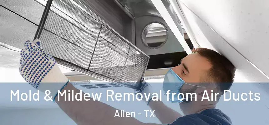 Mold & Mildew Removal from Air Ducts Allen - TX