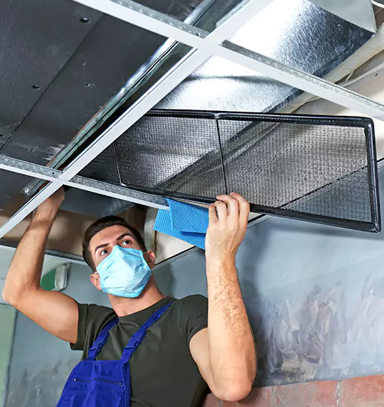 About Air Duct Bacteria Removal in Allen