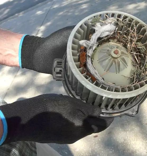 About Air Duct Rat Removal in Allen, TX