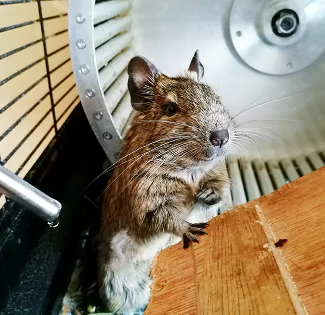 Why Homeowners & Businesses Trust Us Allen, TX