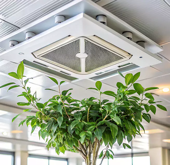 Why Homeowners & Businesses Trust Us in Allen, TX