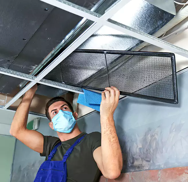 Why Homeowners Businesses Trust Us in Allen, TX